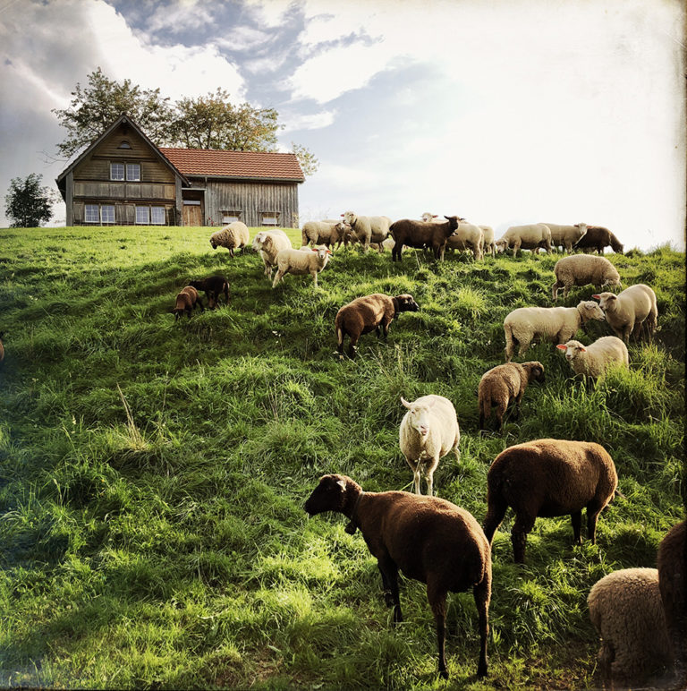 Klimastrategie 2050: Viel Technologie, wenig Massnahmen