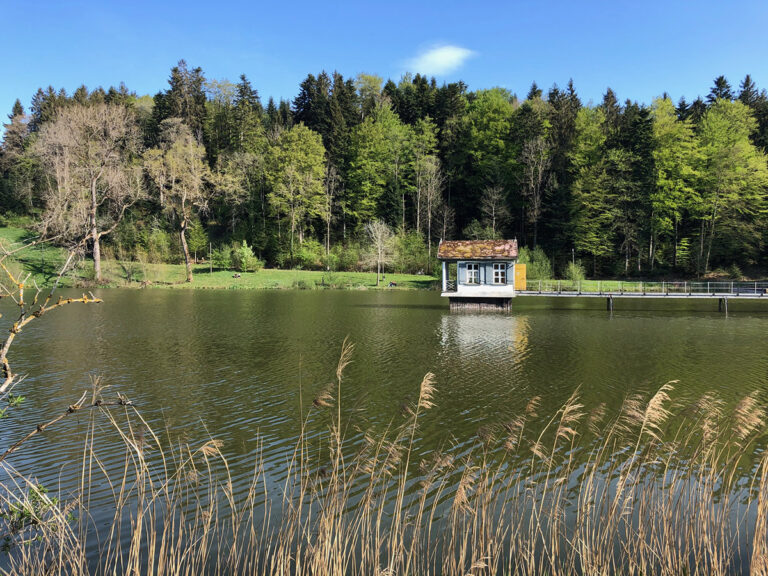 Studie: Insekten an Land leiden, solche im Wasser erholen sich