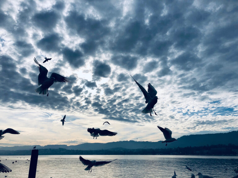 Corona: Bitte, bitte, gebt uns die dreckige Luft zurück