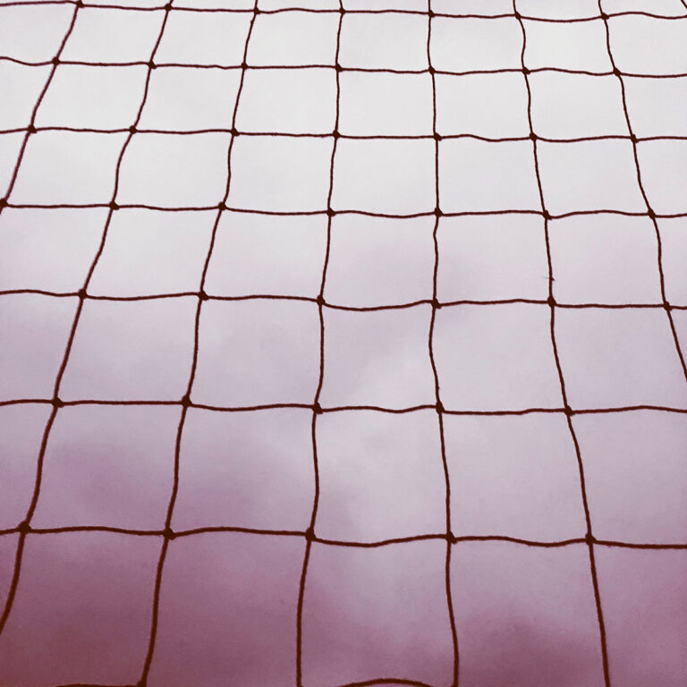 «Wachstum ist schlecht.» Und jetzt wiederholt diesen Satz alle 100 Mal!