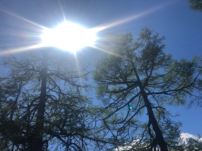 Geoengineering: 200 Millionen Dollar um die Sonne zu verdunkeln?