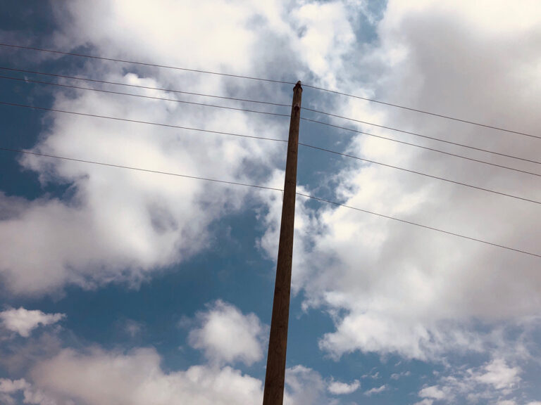 Übernutzung der Natur führt vermehrt zu Krankheiten wie Covid-19