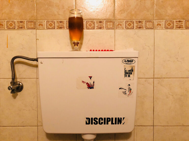 Studie: Mikroplastik in der Nahrungskette von Tieren