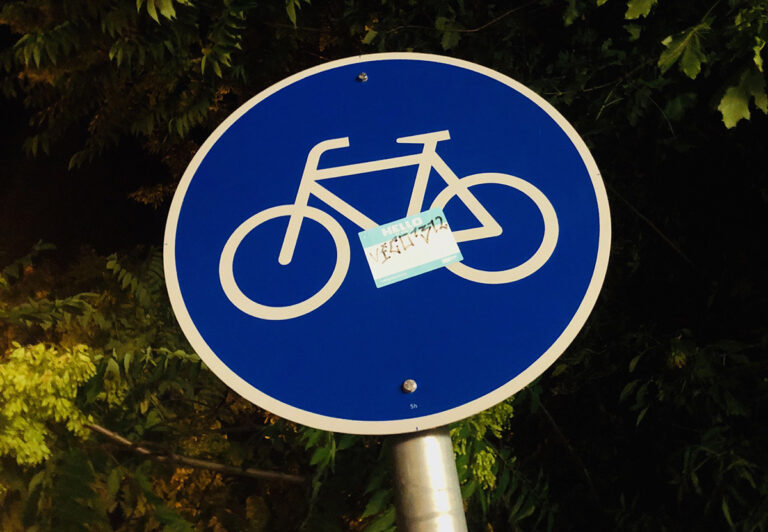 Fahrräder sind wichtiger als Elektroautos für das Netto-Null-Ziel