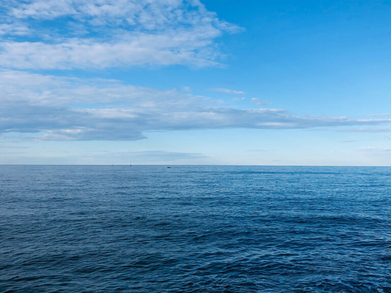 In den Weltmeeren gibt es immer mehr Zonen ohne Leben