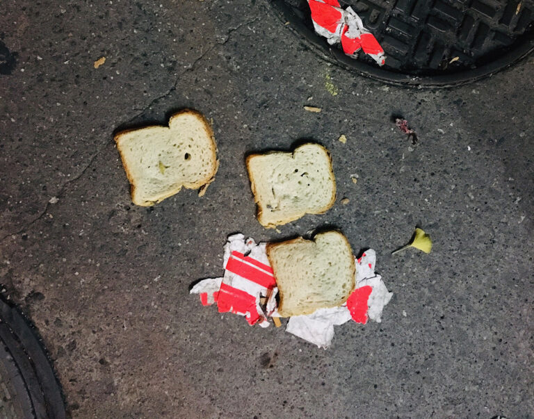 Foodwaste: Was passiert eigentlich mit Lebensmitteln im Abfall?