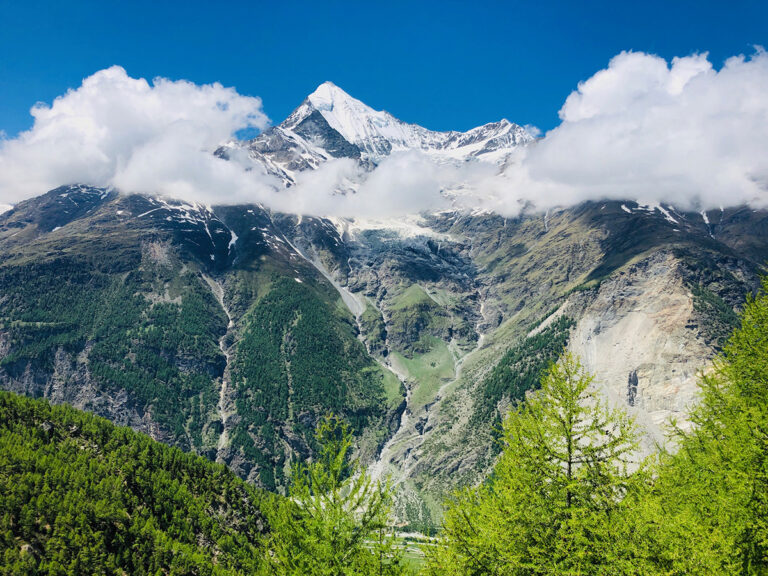 Ökozid: Wir bringen die Umwelt um. Das muss strafbar sein