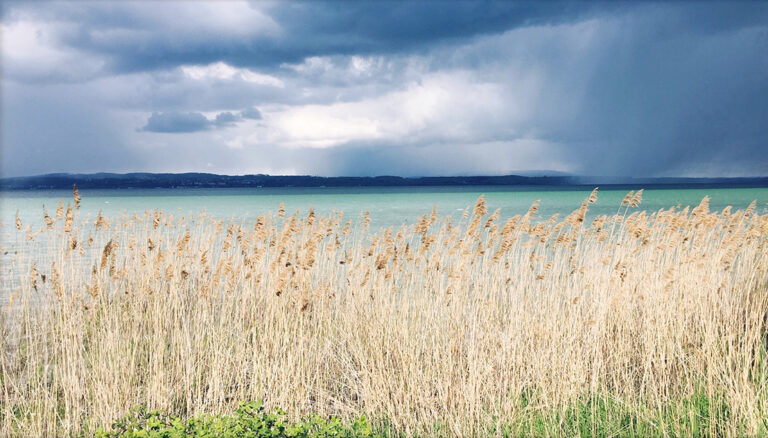 Artenvielfalt: Ökosystemen droht der Kollaps