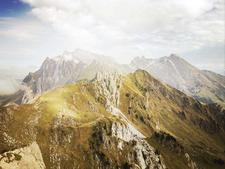 UN-Biodiversity: Eine Million Arten sind bedroht. Auch der Mensch?