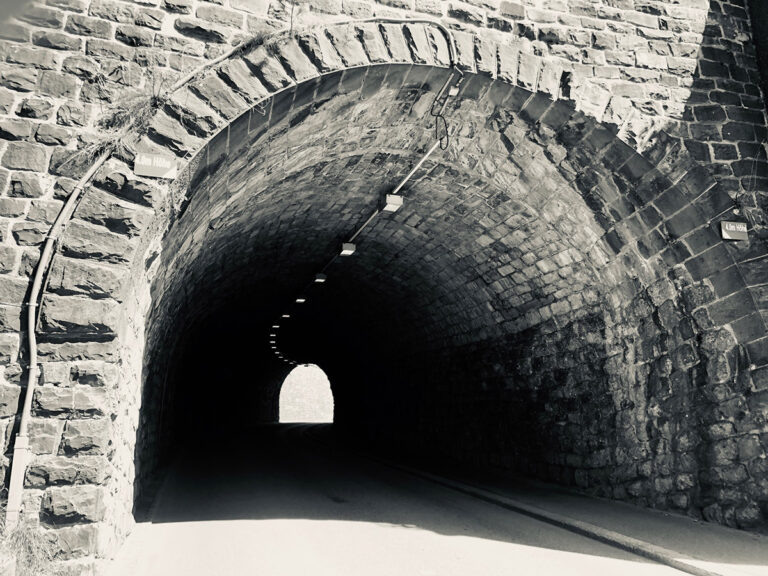 CO2-Gesetz: Mit dem Nein hat die Schweiz jeglichen Realitätsbezug verloren