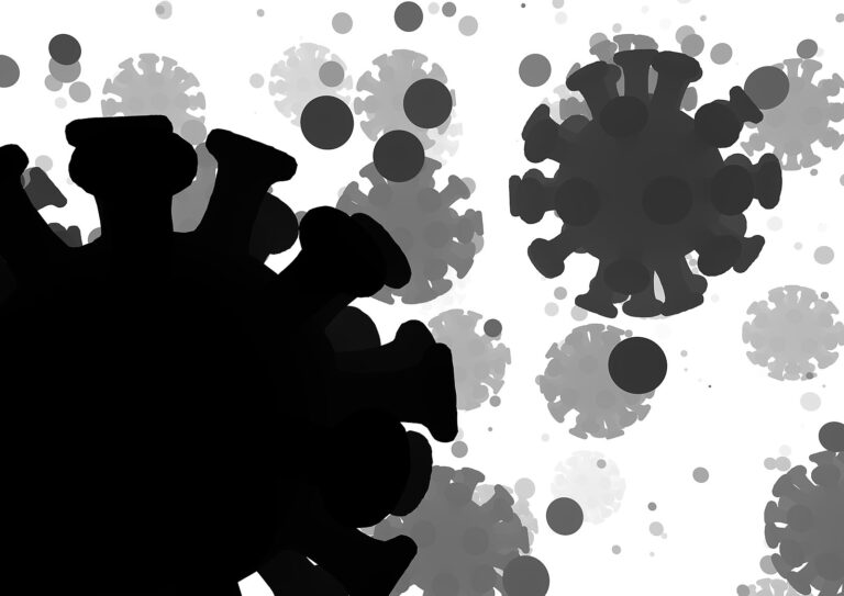 Corona: Zweite Welle. Und jetzt die richtigen Fragen stellen?