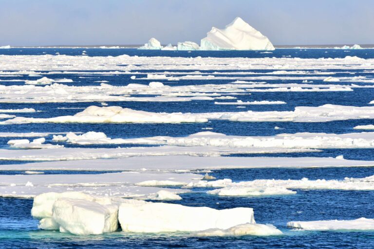 2020: Klimarekorde und mangelnde mediale Aufmerksamkeit