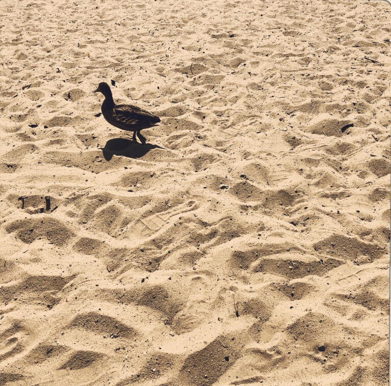 Uno: Extreme Wetterereignisse haben seit dem Jahr 2000 massiv zugenommen
