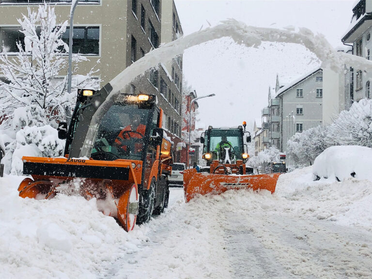 Streusalz ist Gift für die Umwelt und schlecht für Biodiversität
