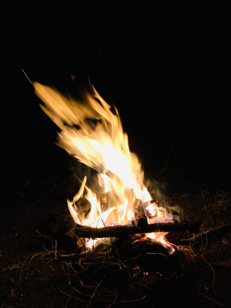 Staatlich geförderte Holzverbrennung ist Gift für die Umwelt