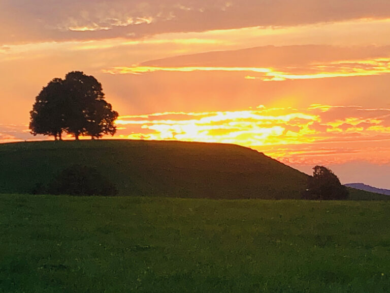 Naturkapital gehört in die Buchhaltung. Oder welchen Wert hat Natur eigentlich?