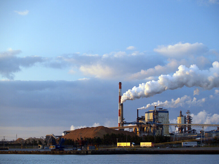 Acht Billionen: Um den Planeten zu retten, braucht es nur etwas Kleingeld