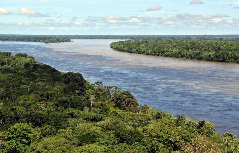 Amazonas-Regenwald bereits gekippt? Er stösst jetzt mehr CO2 aus als er aufnimmt
