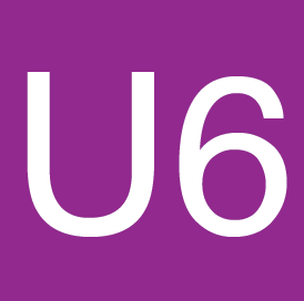 Icon U6