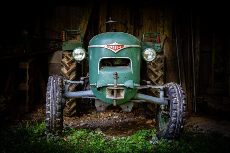 Die grossen Transformationen der Menschheitsgeschichte